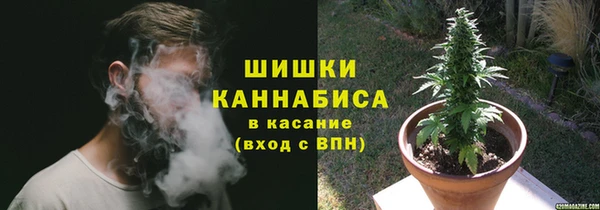 сатива Алексеевка