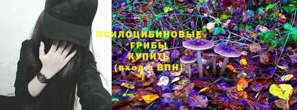 прущие грибы Алзамай