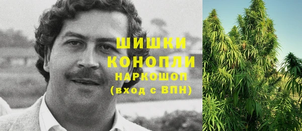 соль ск Алексин