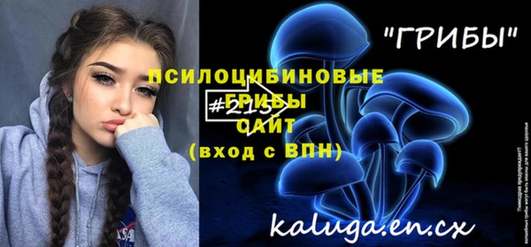 прущие грибы Алзамай