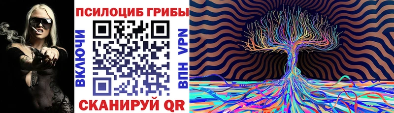 Псилоцибиновые грибы Cubensis  даркнет сайт  Пошехонье 